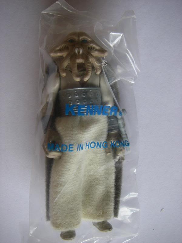 IMGP9394.jpg