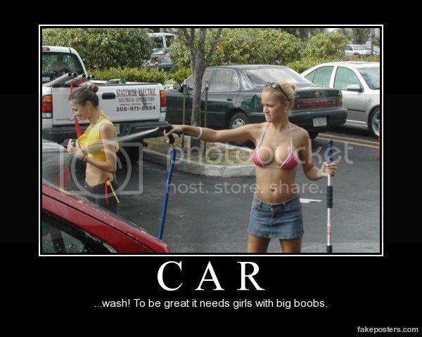 l3vwz7wot8.jpg