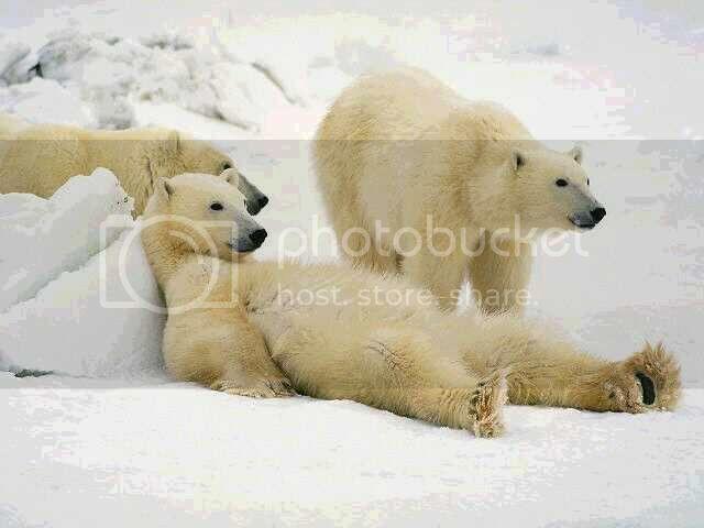 lazy_zpsc5d066ad.jpg