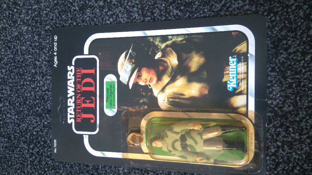 LEIA COMBAT F.JPG