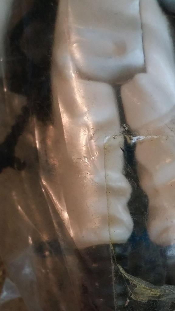 luke FS baggie pic 3.jpg