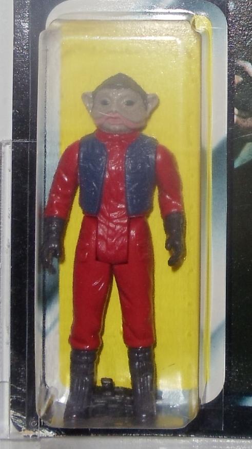 nunbco10.jpg