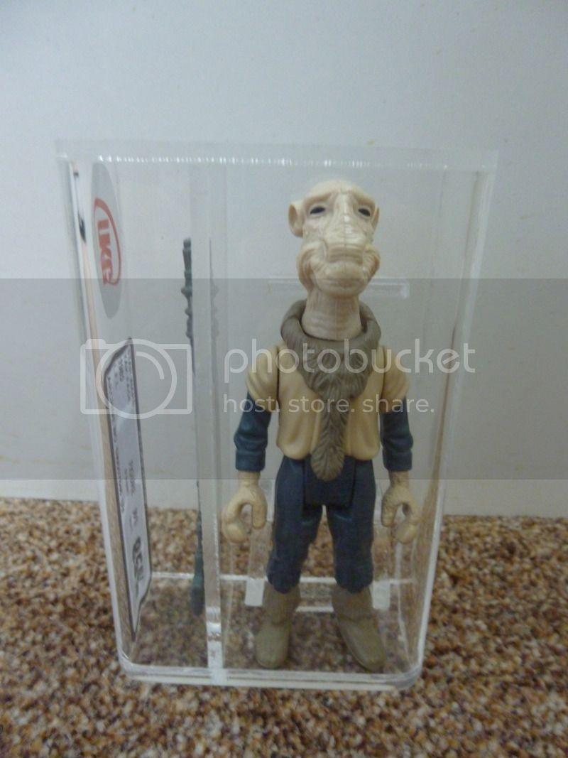 P1000965_zpsfyjporfn.jpg