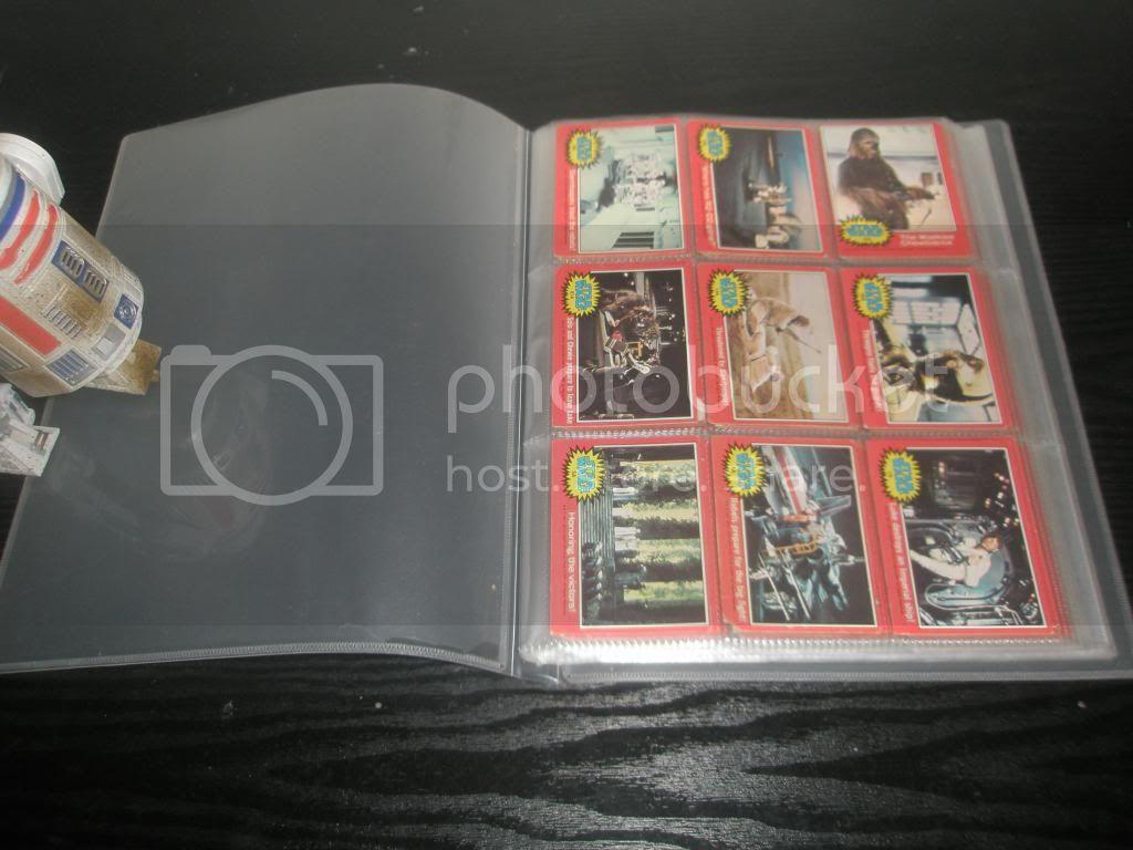 P1010005_zpse7b543c1.jpg