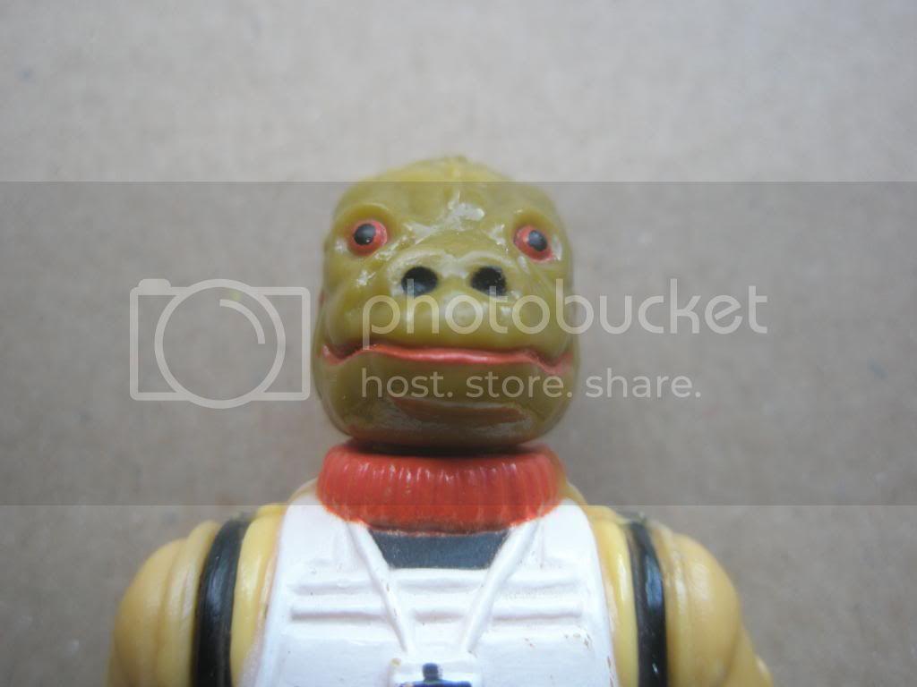 P1010063_zpsb565c0ae.jpg