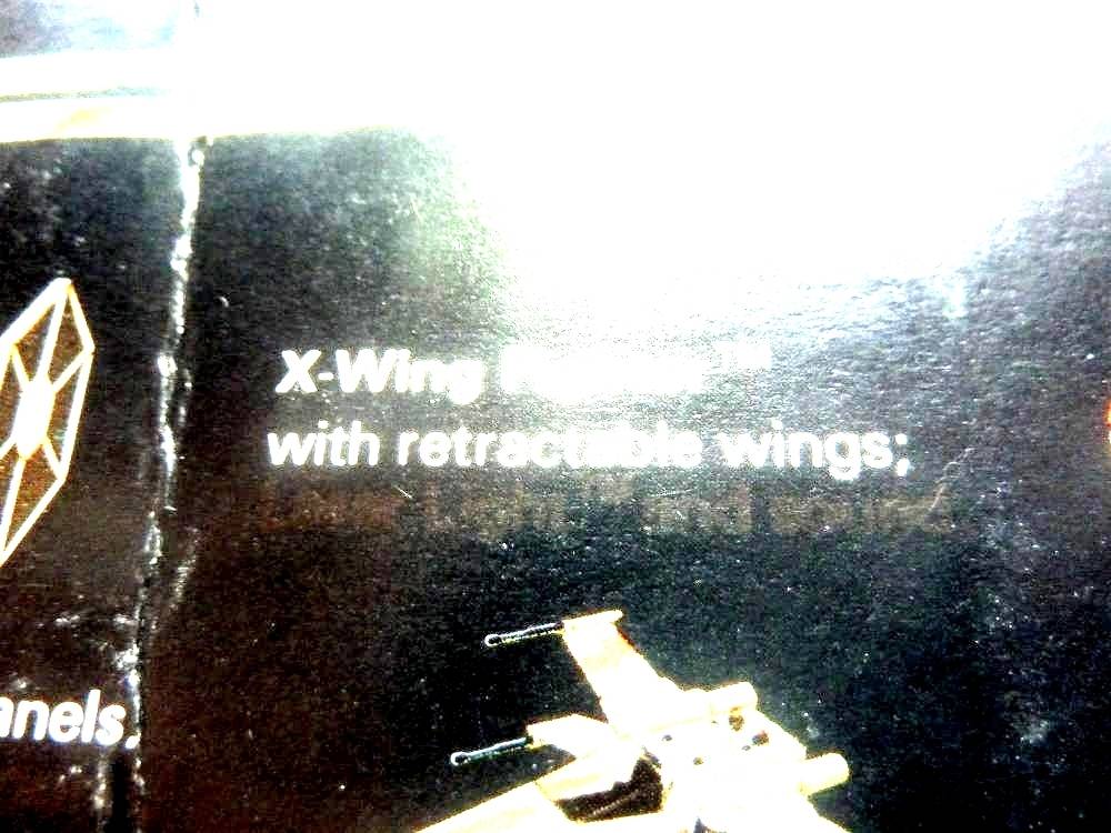 P1250183_phixr.jpg