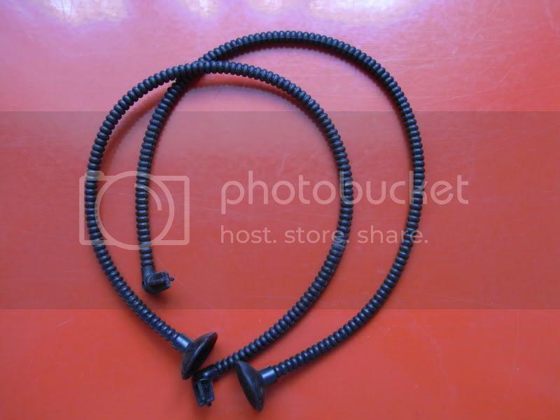 RIMG0341.jpg