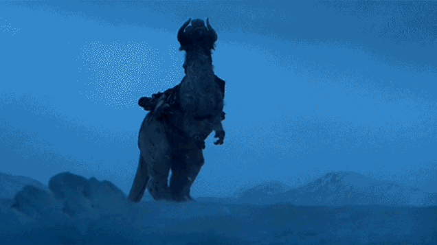 rjwppejcn0t3.gif