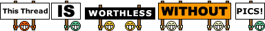 s-riding-bra-this_thread_is_worthless_without_pics.gif
