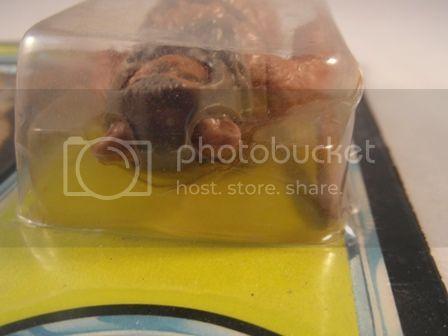 SAM_0245_zps2335aab1.jpg