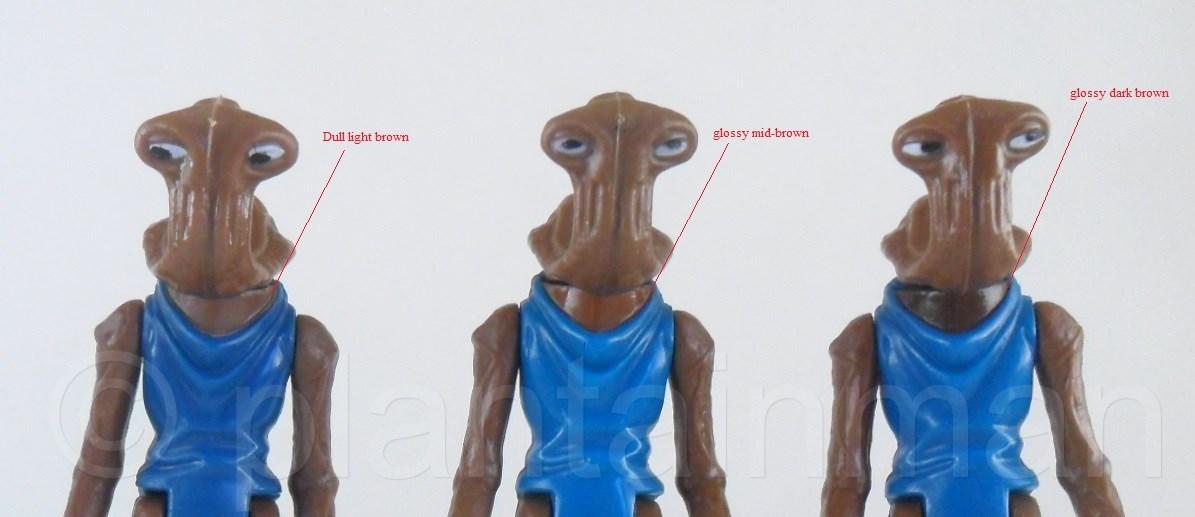 SAM_4844 necks.JPG