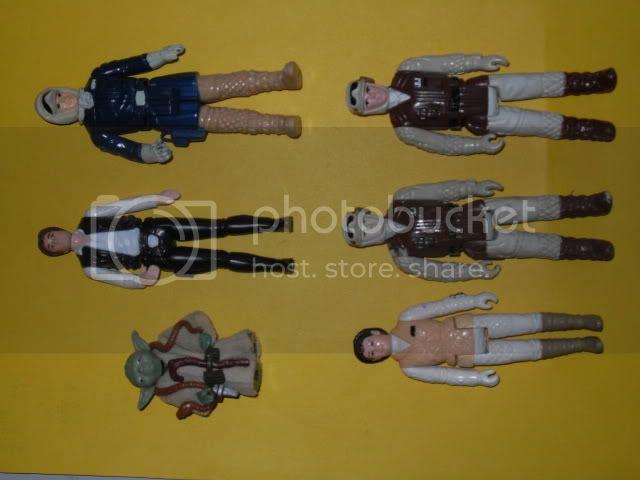 SDC10475.jpg