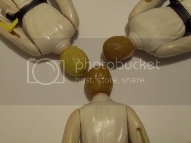 SDC10508.jpg