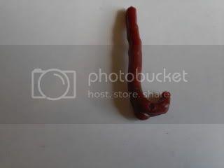 SDC10664.jpg