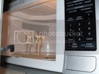 SDC10769.jpg
