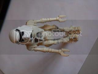 SDC10843.jpg