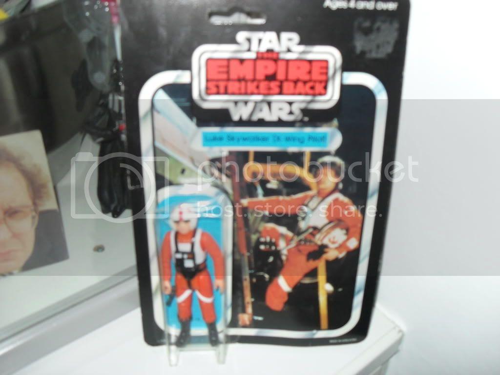 SDC15341.jpg
