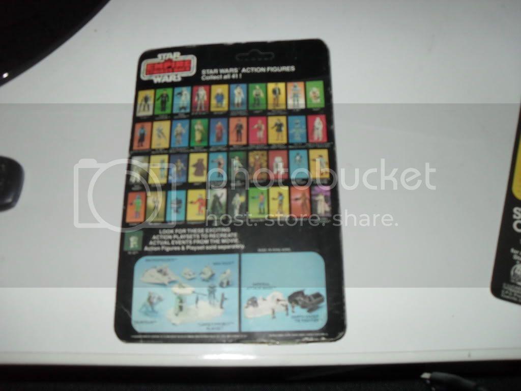 SDC15367.jpg
