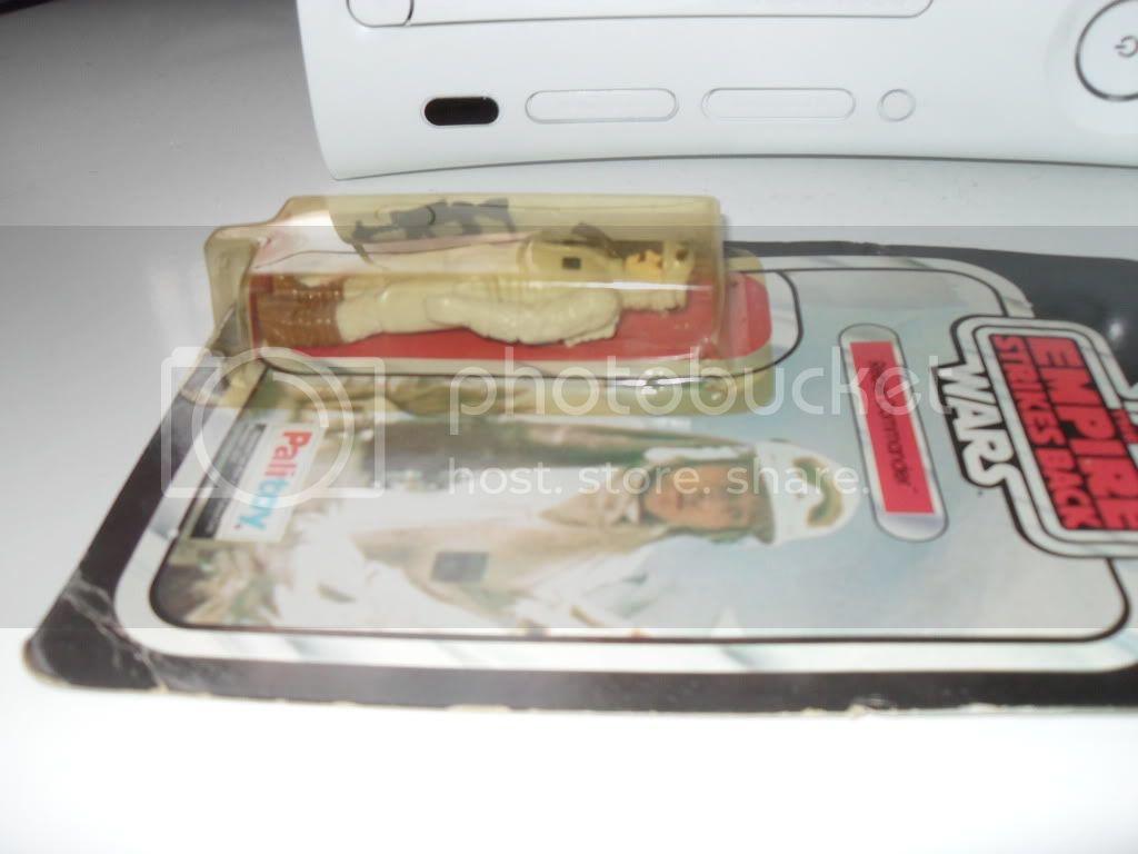 SDC15390.jpg
