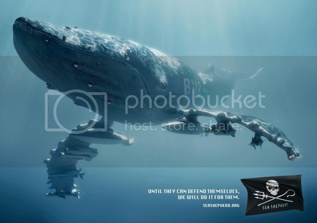 sea4_zps57d4a10f.jpg