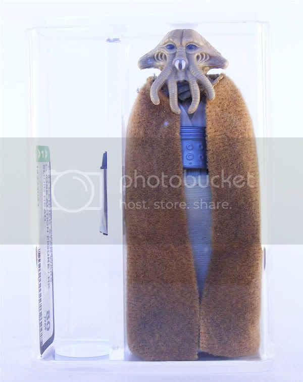 squid002.jpg