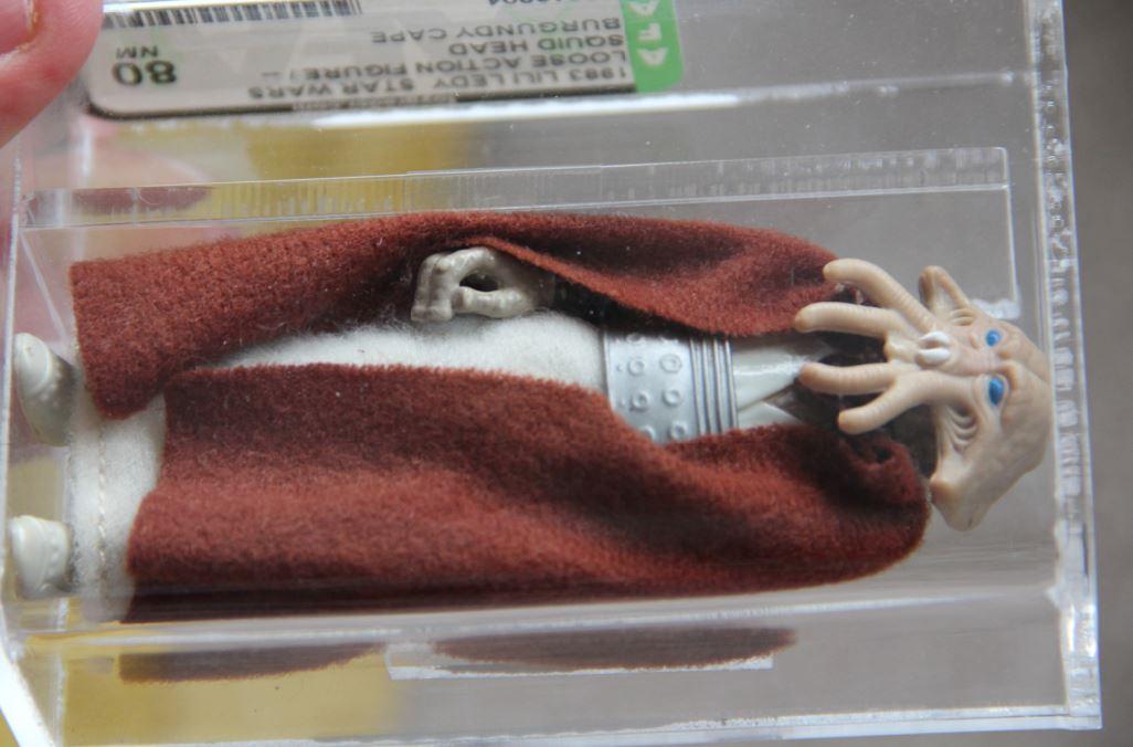 squid1.JPG