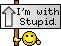 stupid.gif
