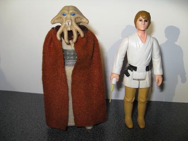 sw-luke-bh-and-red-cape-squid.jpg