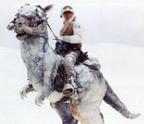 tauntaun.jpg