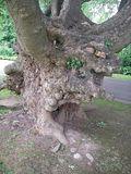 th_IMGP4331.jpg