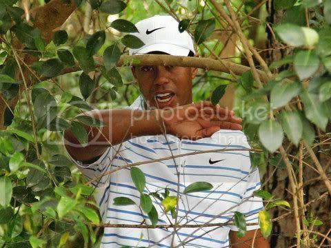 Tiger-Woods-Masters-Caption_2161620.jpg