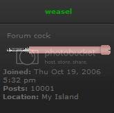 weasel.jpg