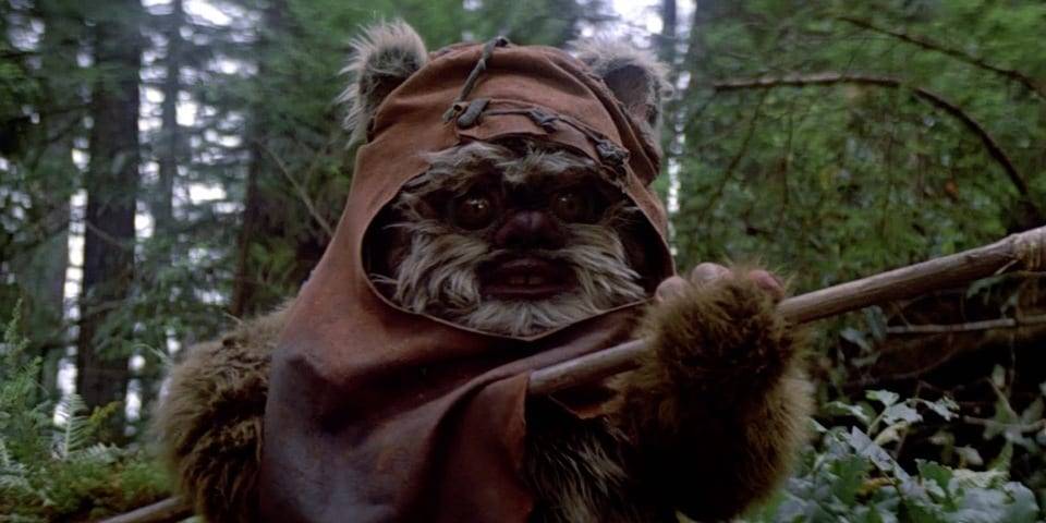 Wicket W. Warrick.jpeg