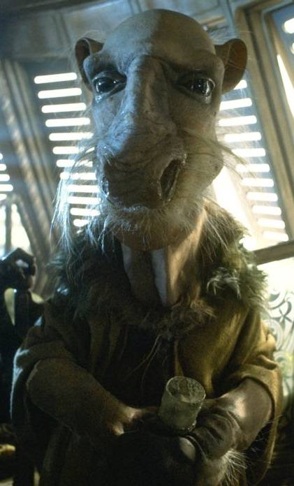 Yak face_zpsu3irkafu.jpg