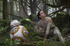 Forest-of-dean-star-wars-puzzlewood-location-the-force-awakens.jpg