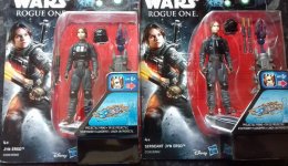 R1 Jyn variant.jpg