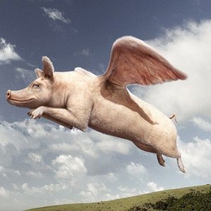 Flying pig.jpg | Star Wars Forum