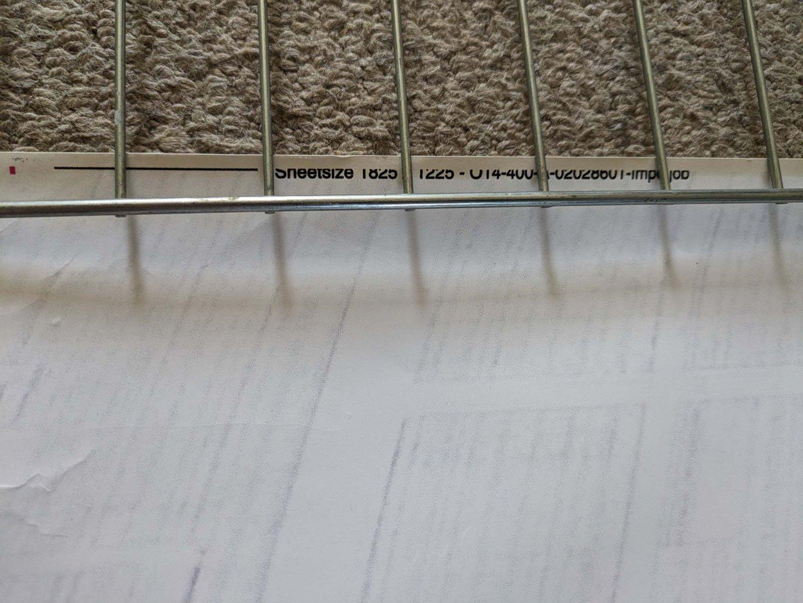 353147822_778821823697799_1160481311986205988_n.jpg