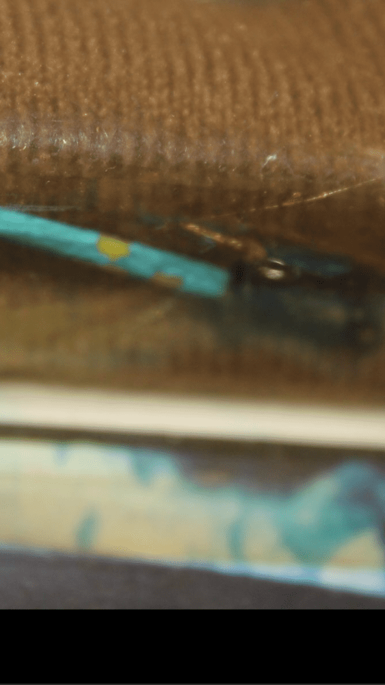 75288905-4201-4D48-9B3C-08E33F65DCA4.png