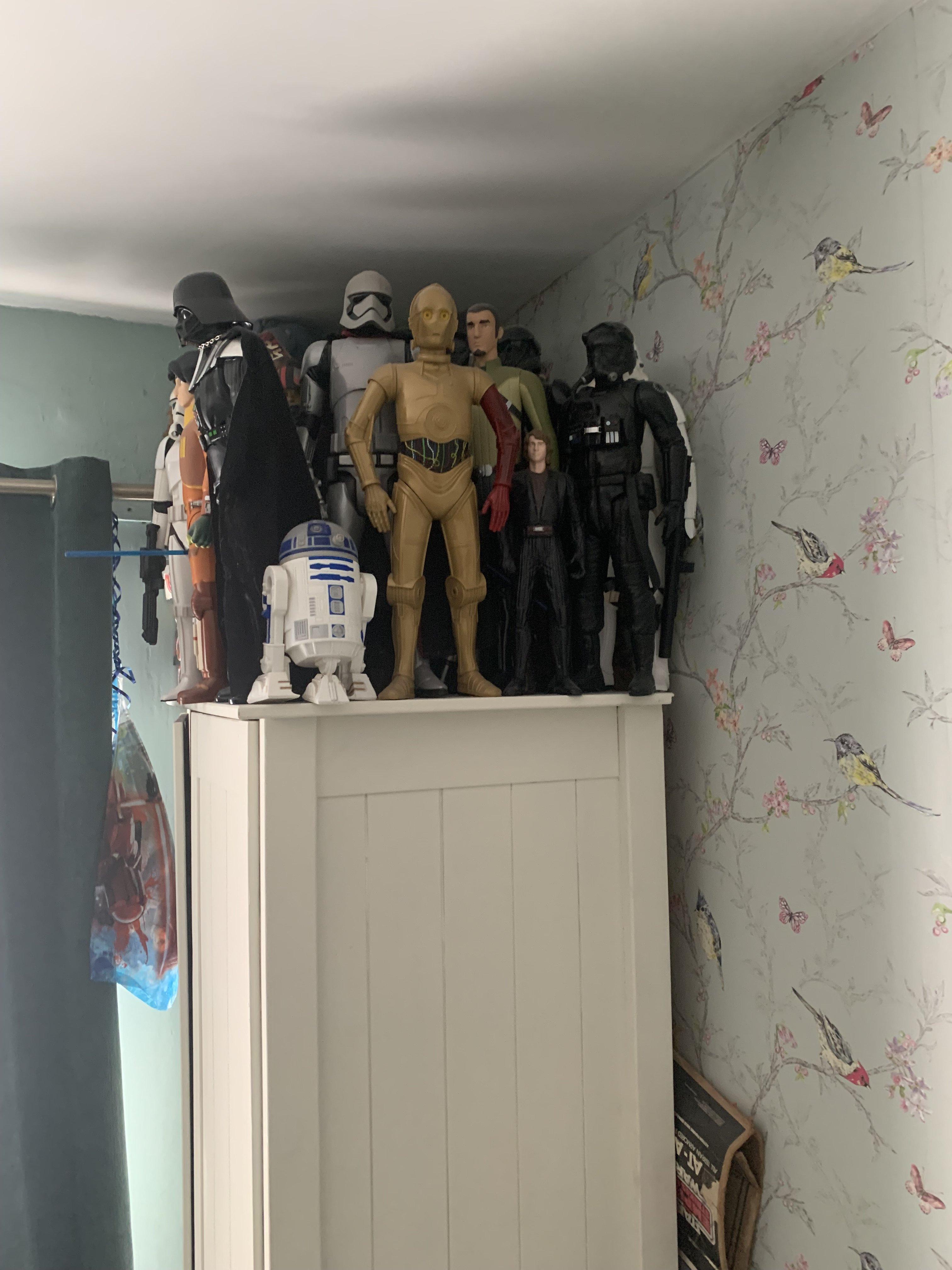 IMG_0529.jpeg