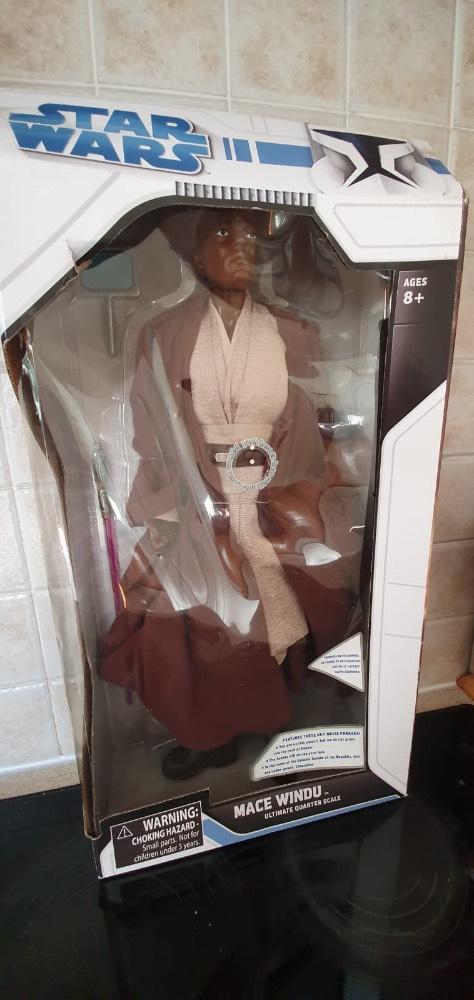 Mace Windu 5.jpeg