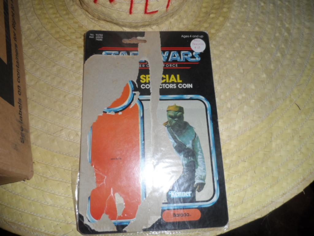 SAM_0395.JPG
