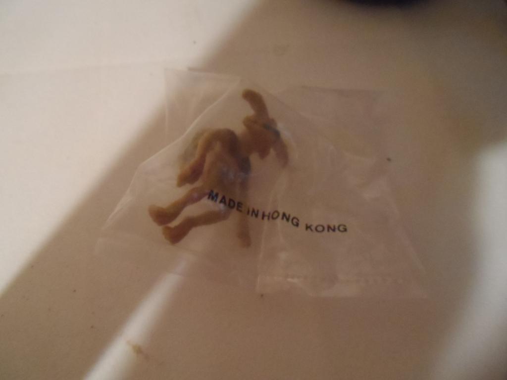 SAM_0402.JPG