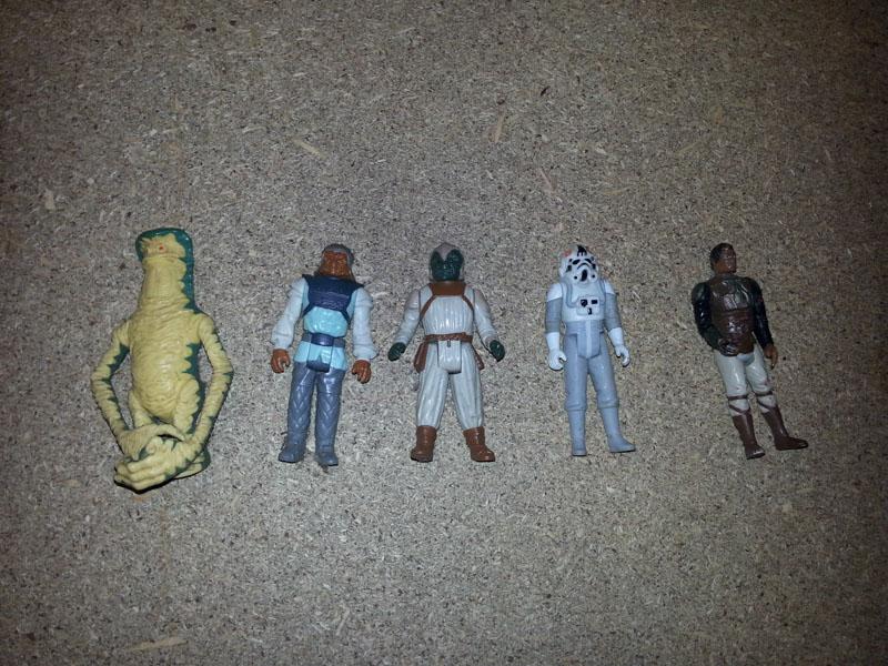 SW_13.jpg