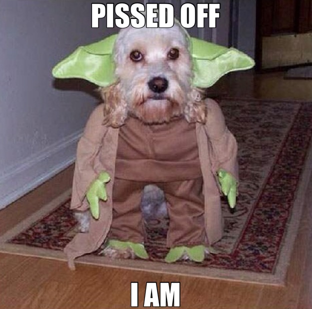pissed-off-dog-yoda.jpg