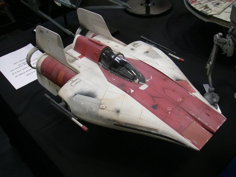 IMGP7509.jpg